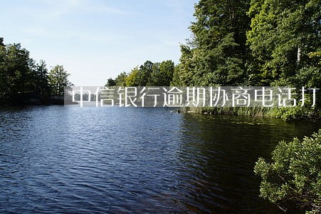 中信银行逾期协商电话打不通 中信银行逾期协商电话打不通