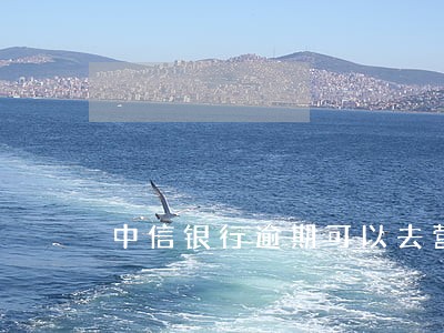 中信银行逾期可以去营业厅协商吗 中信银行逾期可以去营业厅协商吗