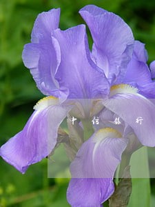 中信银行逾期名单 中信银行逾期名单