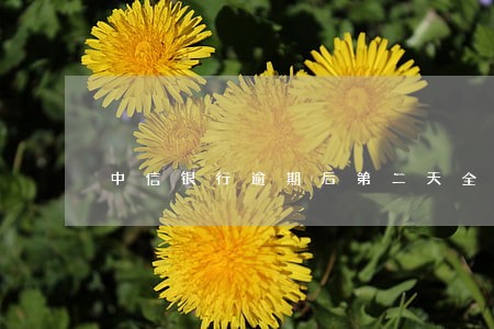 中信银行逾期后第二天全额还清 中信银行逾期后第二天全额还清