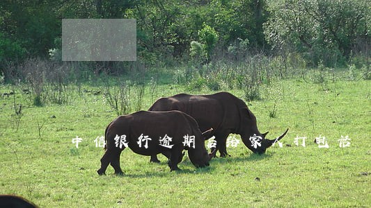 中信银行逾期后给家人打电话 中信银行逾期后给家人打电话
