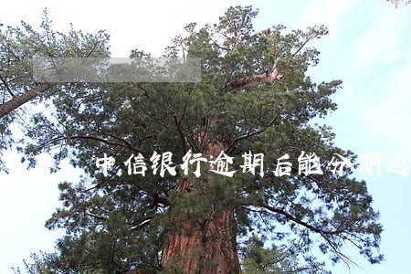 中信银行逾期后能分期还款吗 中信银行逾期后能分期还款吗