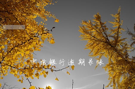中信银行逾期呆账 中信银行逾期呆账