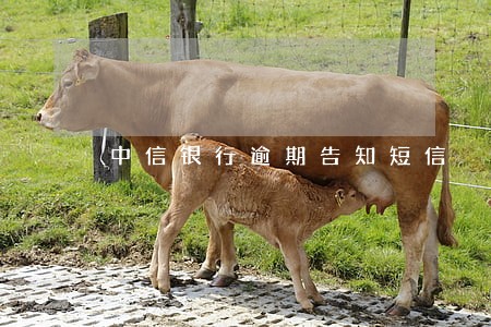 中信银行逾期告知短信 中信银行逾期告知短信