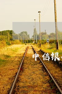 中信银行逾期处理方案 中信银行逾期处理方案