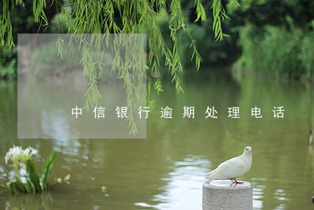 中信银行逾期处理电话 中信银行逾期处理电话