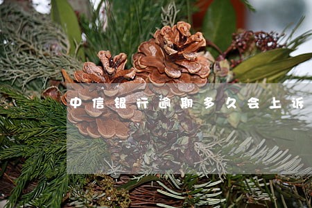 中信银行逾期多久会上诉 中信银行逾期多久会上诉