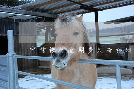 中信银行逾期多久冻结财产 中信银行逾期多久冻结财产