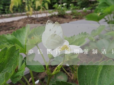中信银行逾期强制清卡 中信银行逾期强制清卡