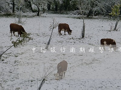 中信银行逾期报警协商 中信银行逾期报警协商