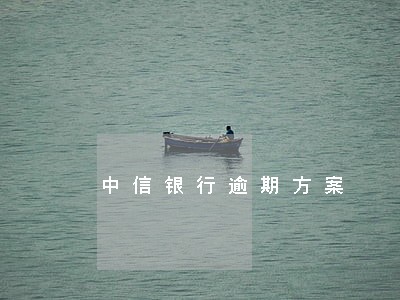 中信银行逾期方案 中信银行逾期方案