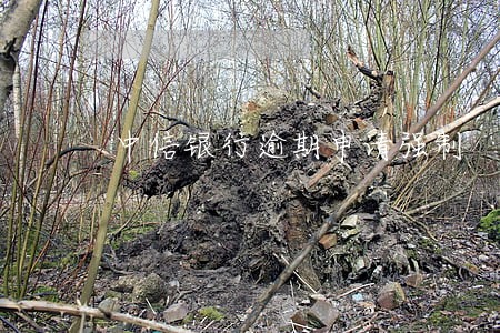 中信银行逾期申请强制 中信银行逾期申请强制