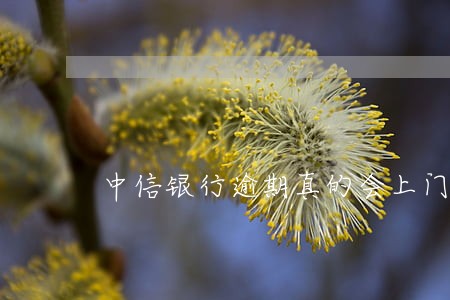 中信银行逾期真的会上门 中信银行逾期真的会上门