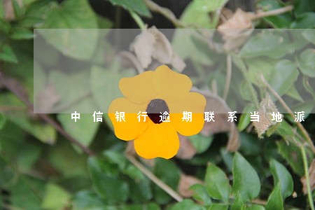 中信银行逾期联系当地派出所