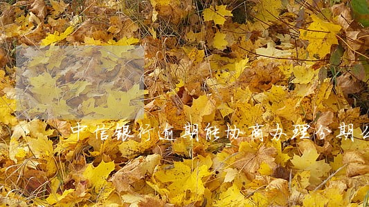中信银行逾期能协商办理分期么 中信银行逾期能协商办理分期么