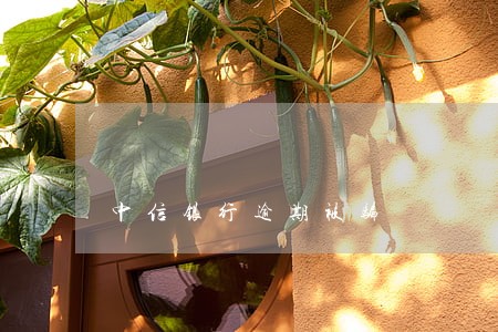 中信银行逾期被骗 中信银行逾期被骗