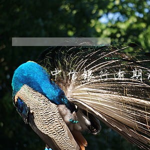 中信银行逾期让全部还完 中信银行逾期让全部还完