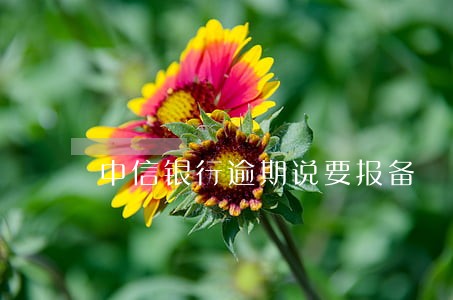 中信银行逾期说要报备