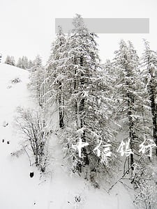 中信银行逾期还款了还能用吗 中信银行逾期还款了还能用吗