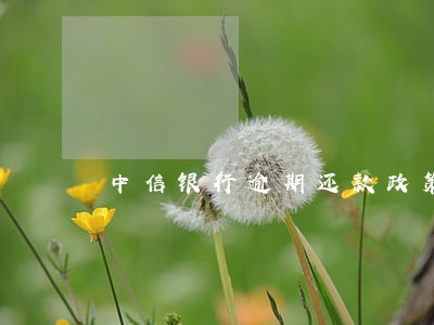 中信银行逾期还款政策 中信银行逾期还款政策