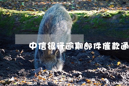 中信银行逾期邮件催款通知 中信银行逾期邮件催款通知