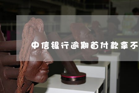 中信银行逾期首付款拿不出来 中信银行逾期首付款拿不出来