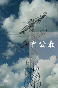 中公教育司法讲师面试经验