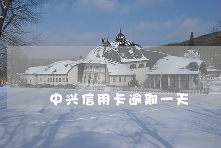 中兴信用卡逾期一天 中兴信用卡逾期一天