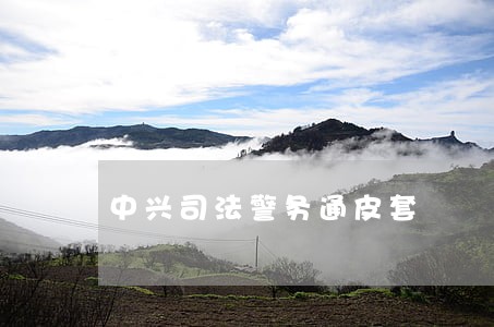 中兴司法警务通皮套 中兴司法警务通皮套