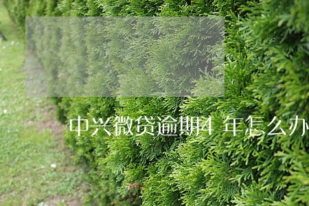 中兴微贷逾期4年怎么办 中兴微贷逾期4年怎么办