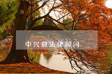 中兴总法律顾问 中兴总法律顾问