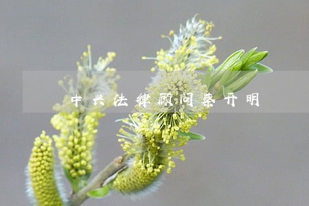中兴法律顾问蔡开明