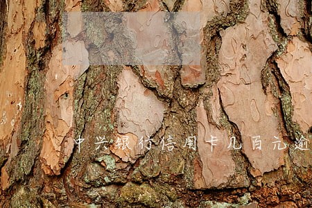中兴银行信用卡几百元逾期 中兴银行信用卡几百元逾期