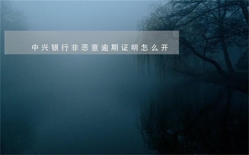 中兴银行非恶意逾期证明怎么开