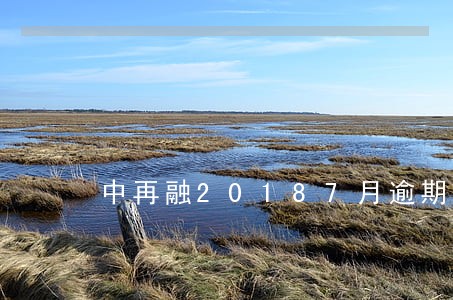 中再融20187月逾期本金