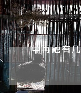 中再融有几次逾期 中再融有几次逾期