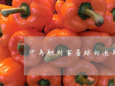 中再融财富星球的逾期暴雷 中再融财富星球的逾期暴雷