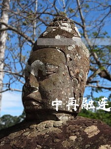 中再融连续逾期 中再融连续逾期