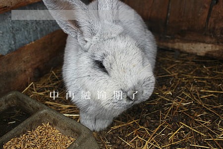 中再融逾期了 中再融逾期了