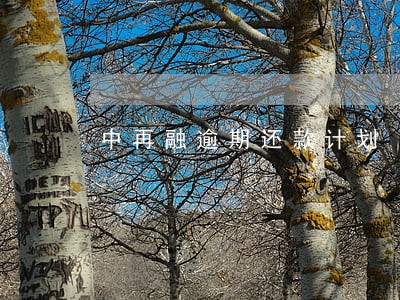 中再融逾期还款计划 中再融逾期还款计划