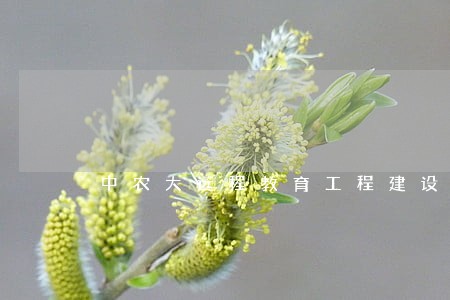 中农大远程教育工程建设法规 中农大远程教育工程建设法规