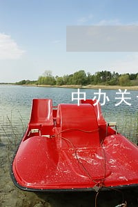 中办关于公职律师法律顾问意见 中办关于公职律师法律顾问意见