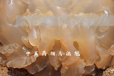 中医药相关法规 中医药相关法规