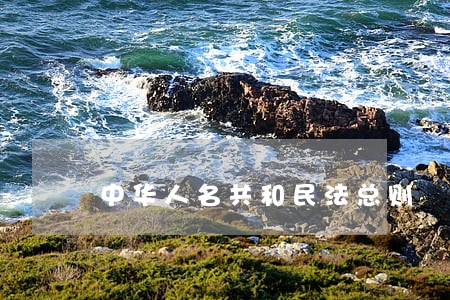 中华人名共和民法总则 中华人名共和民法总则