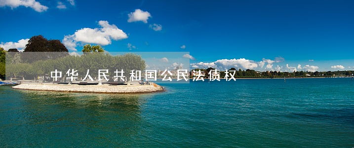 中华人民共和国公民法债权 中华人民共和国公民法债权
