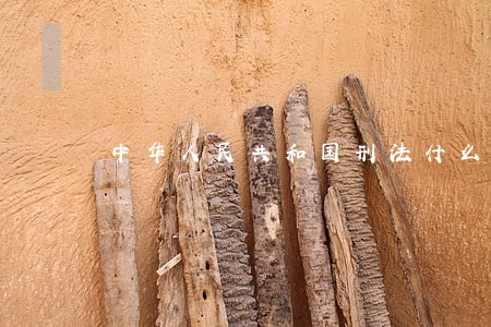 中华人民共和国刑法什么是正当防卫 中华人民共和国刑法什么是正当防卫