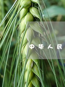 中华人民共和国刑法第三百零三条