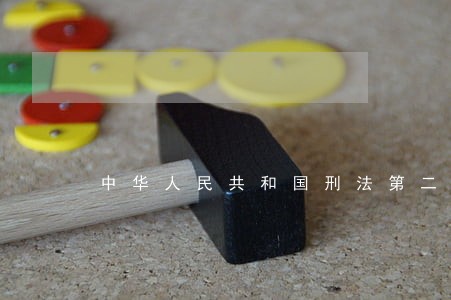 中华人民共和国刑法第二百零七条