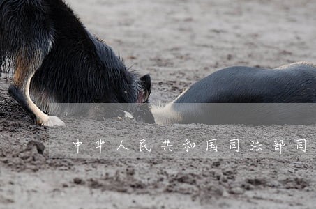 中华人民共和国司法部司法部公告 中华人民共和国司法部司法部公告