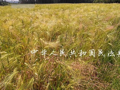 中华人民共和国民法典是为了适应 中华人民共和国民法典是为了适应